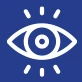 Vision icon