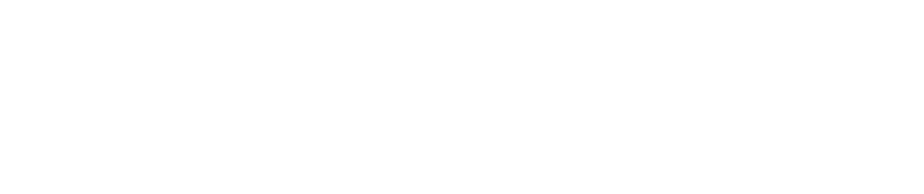 IcaruZen-Business Solutions